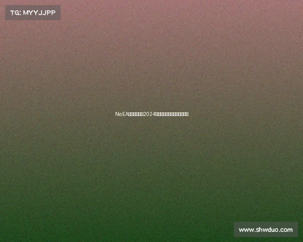 NeEA人工智能赛事2024盛大开幕引领科技创新新浪潮